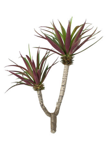Artificial Wispy Aloe Plant